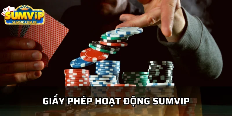 Tìm hiểu chi tiết giấy phép hoạt động sumvip