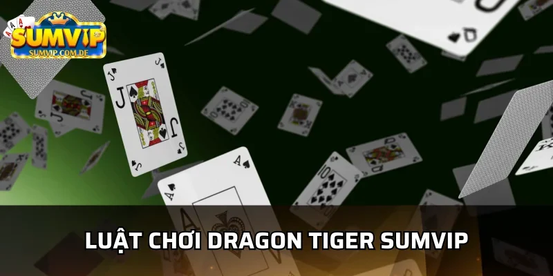 Khi chơi Dragon Tiger Sumvip cần biết rõ luật chơi
